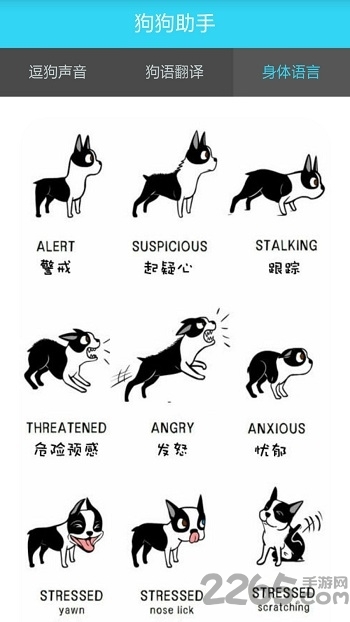 人狗交流器下载