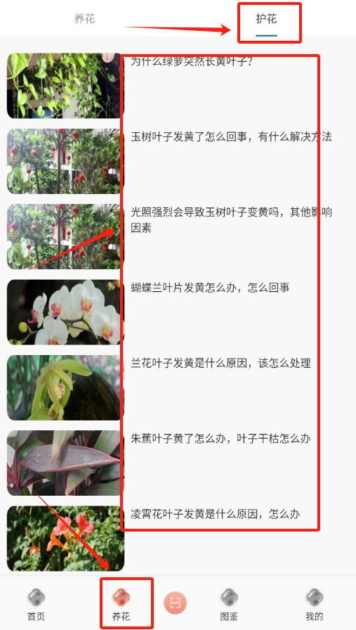 幸福花园君手机版下载