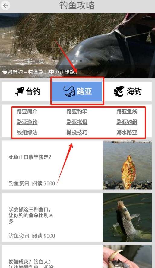 钓鱼我最牛app下载