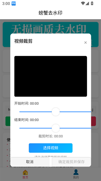螃蟹去水印大师下载