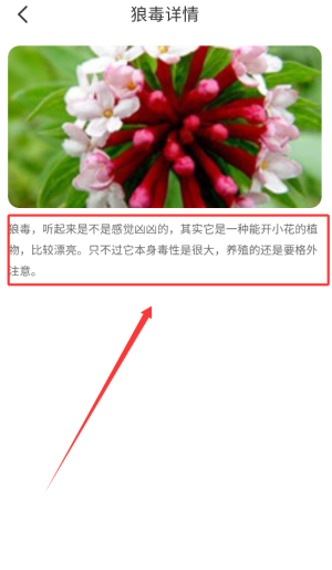 百花悦看app下载