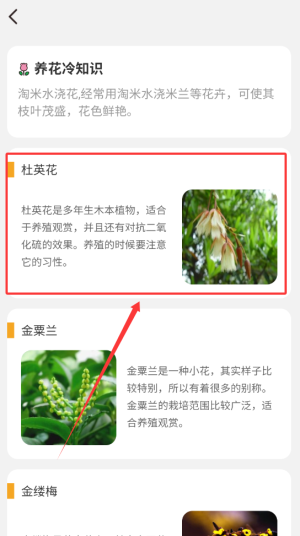百花悦看app下载