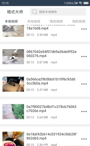 格式大师下载安装最新版