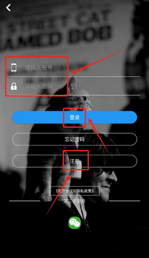 流浪宠物app下载