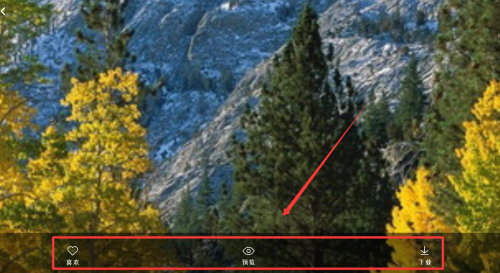 魔秀主题壁纸app下载