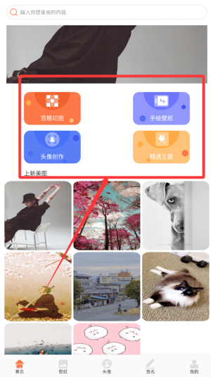 椰蓉壁纸app下载