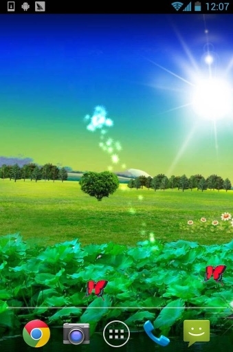 荷花壁纸下载最新版