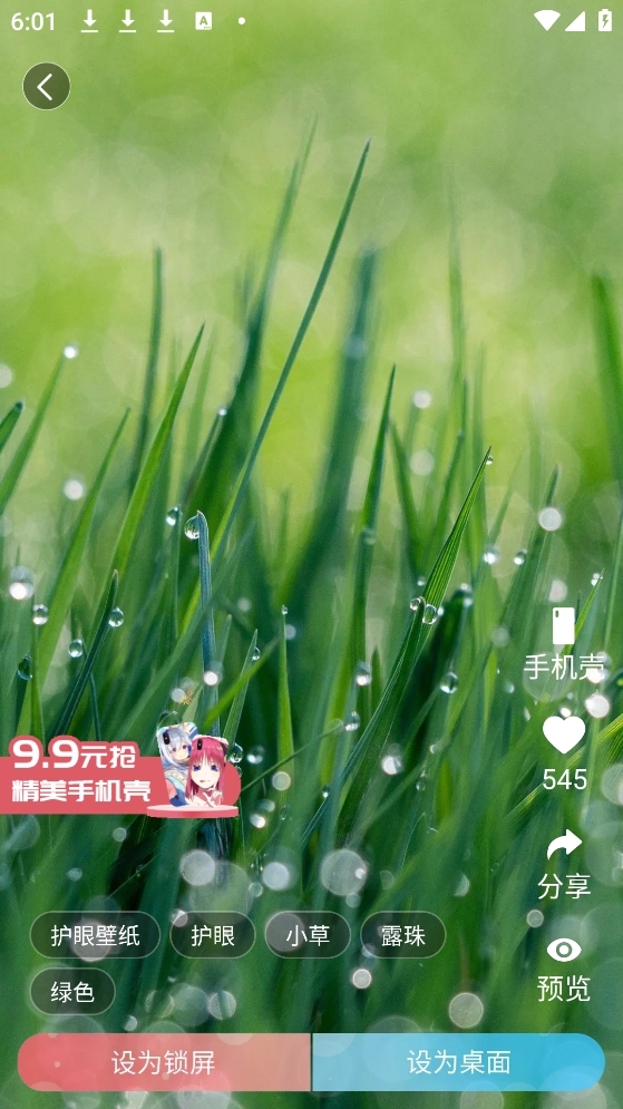 小鸟壁纸下载手机版