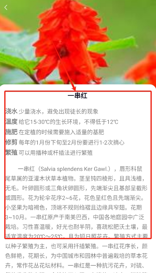 花多多最新版下载