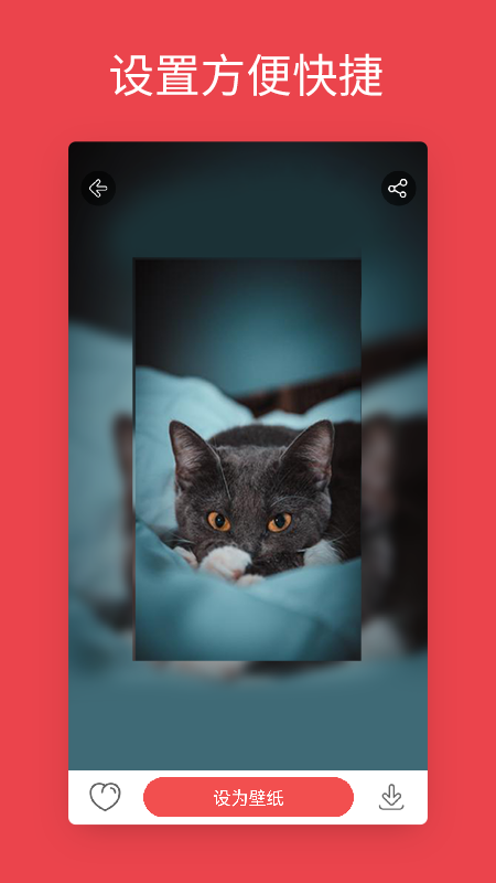 安卓动态壁纸下载安装手机版