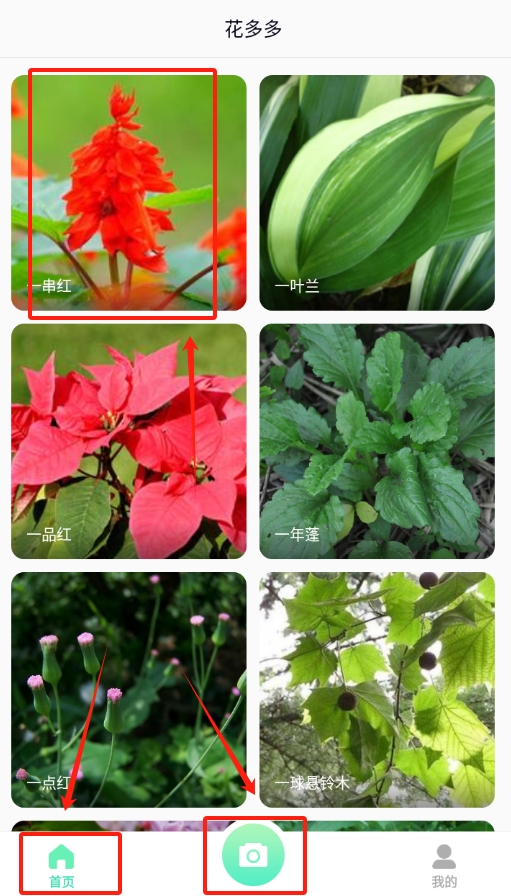 花多多最新版下载