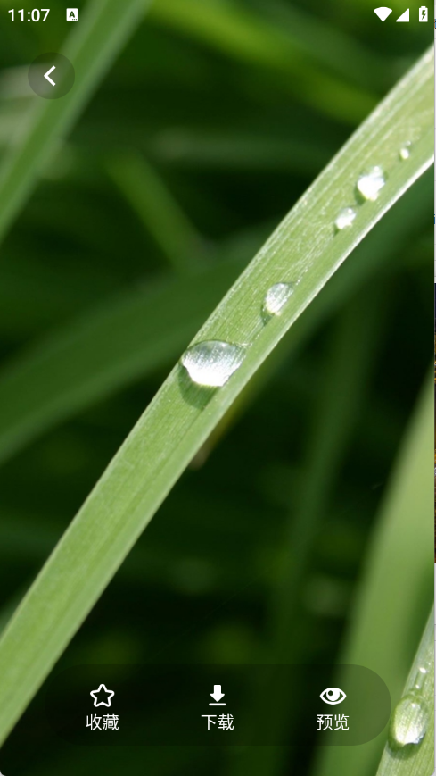 茄子漫画壁纸下载安装免费