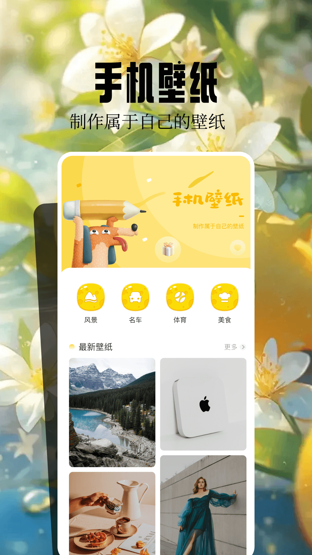 魔秀桌面壁纸app