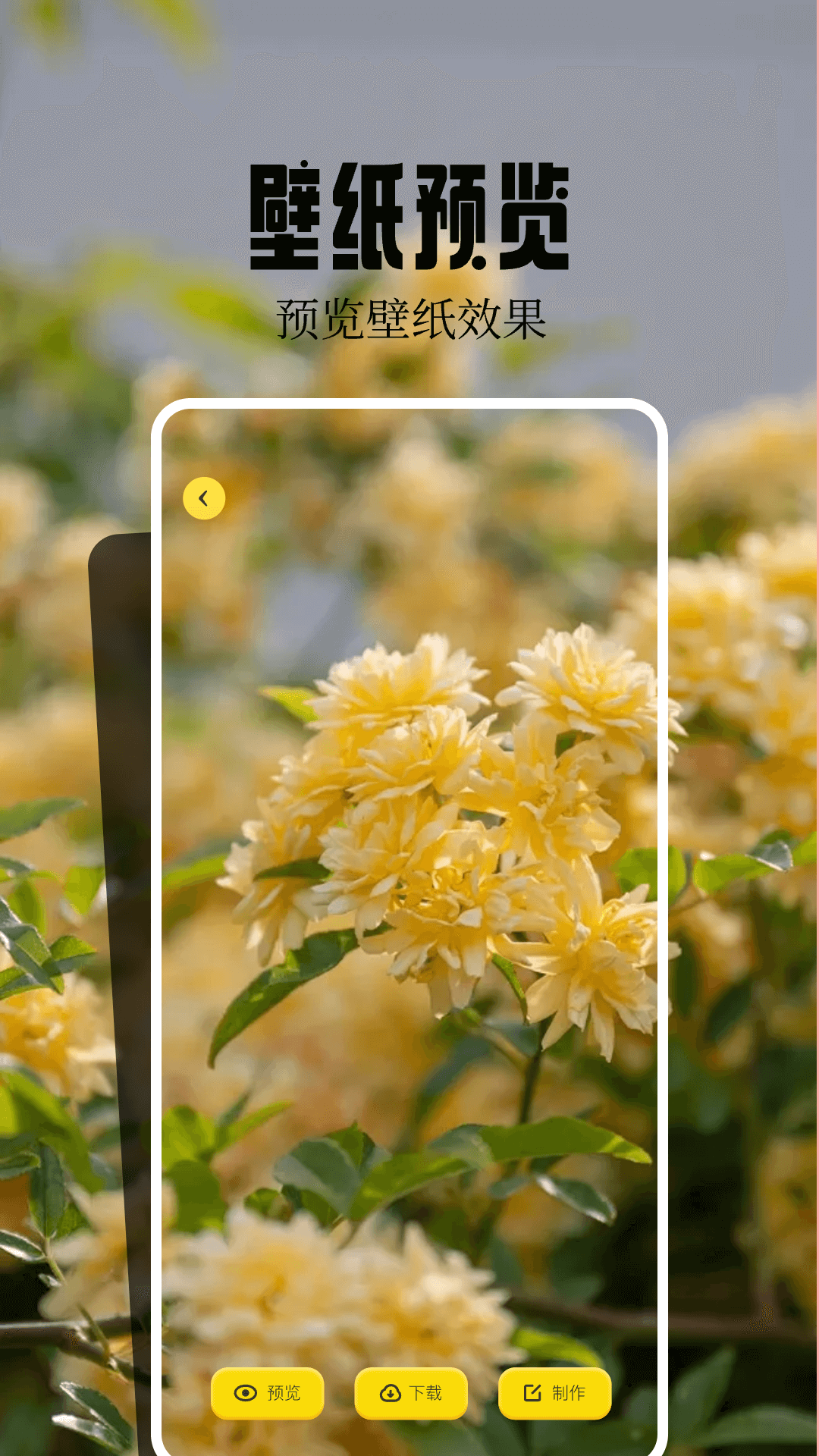 魔秀桌面壁纸app