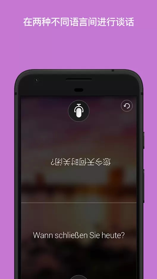 Translator翻译app下载