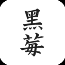 黑莓小说app下载