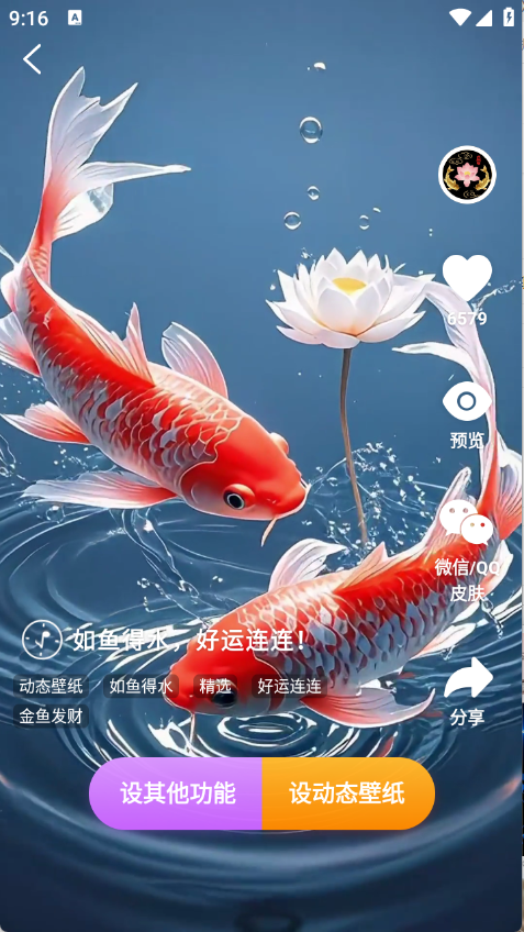 荷花锦鲤壁纸2025最新版