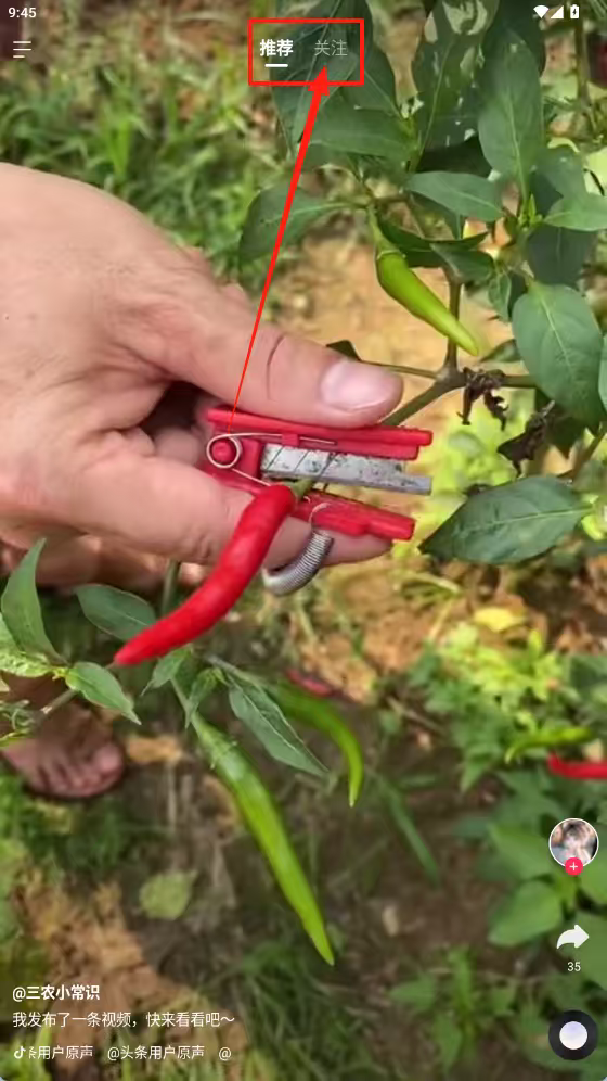 热料视频app下载