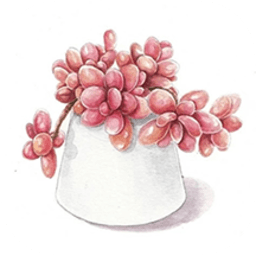 多肉花草日记下载软件手机版