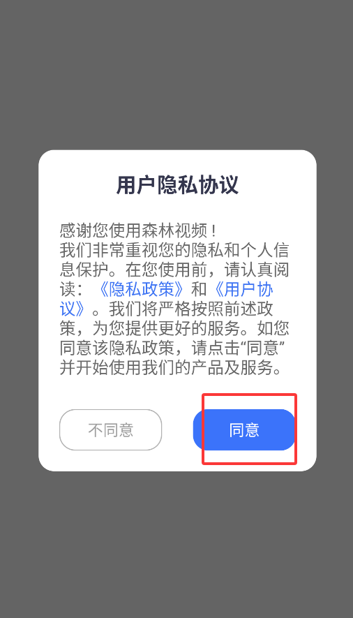 森林视频官方正版下载
