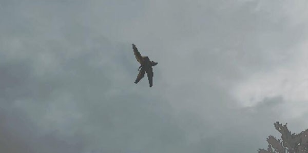 乐高忍者骑手中文版下载