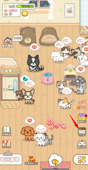 猫猫狗狗一起玩游戏下载