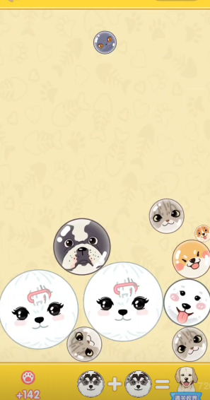 猫猫狗狗一起玩游戏下载