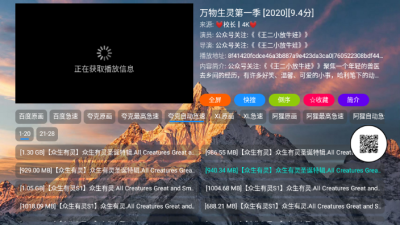 老表影视官方版下载