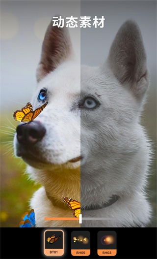 Motionleap下载最新版