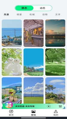 铃声动态壁纸下载安装免费版