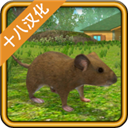 老鼠模拟器中文版无广告