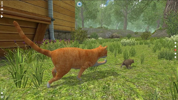 老鼠模拟器中文版无广告