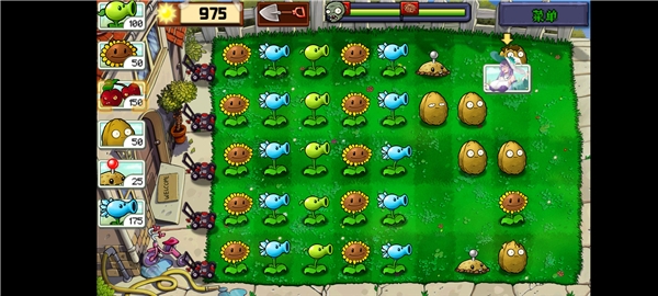 植物大战僵尸娘化版手机下载