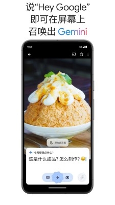 谷歌Gemini2.5pro免费版