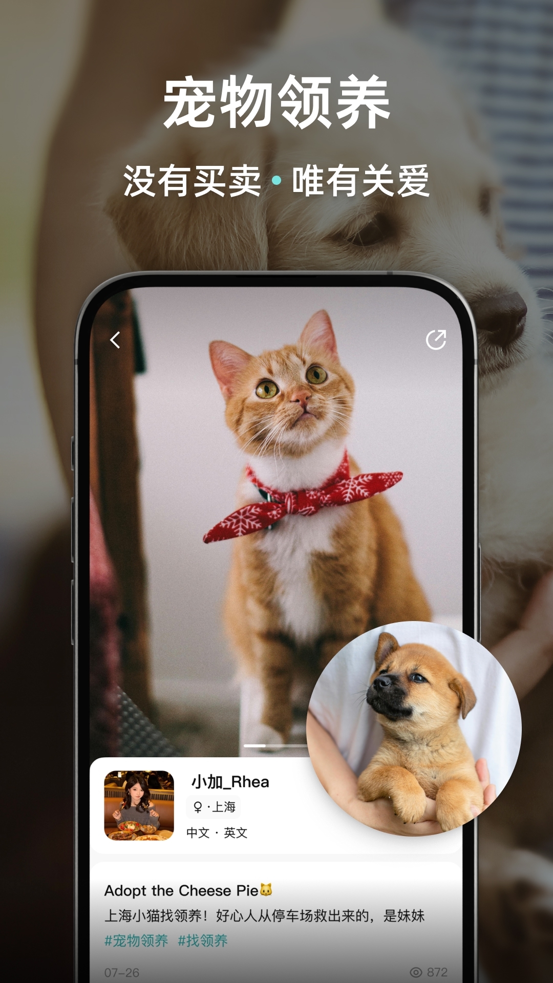 Wellcee租房app下载