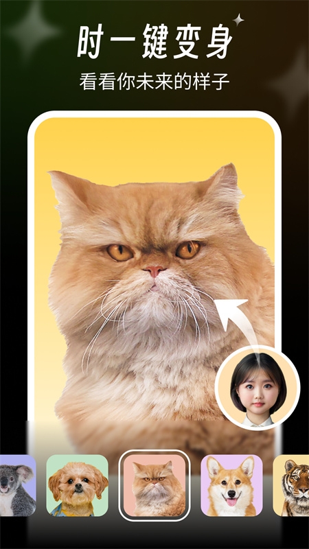 桔子相机最新版下载安装