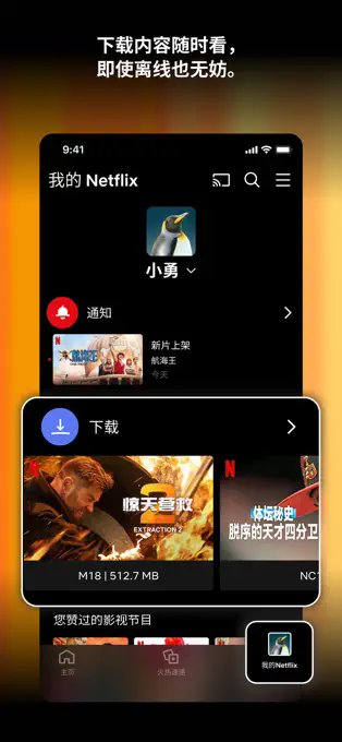 Netflix官网版app