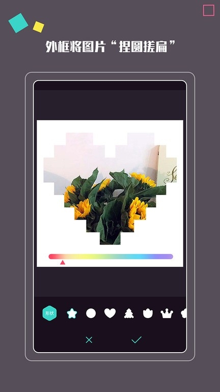 拍照大咖app手机版