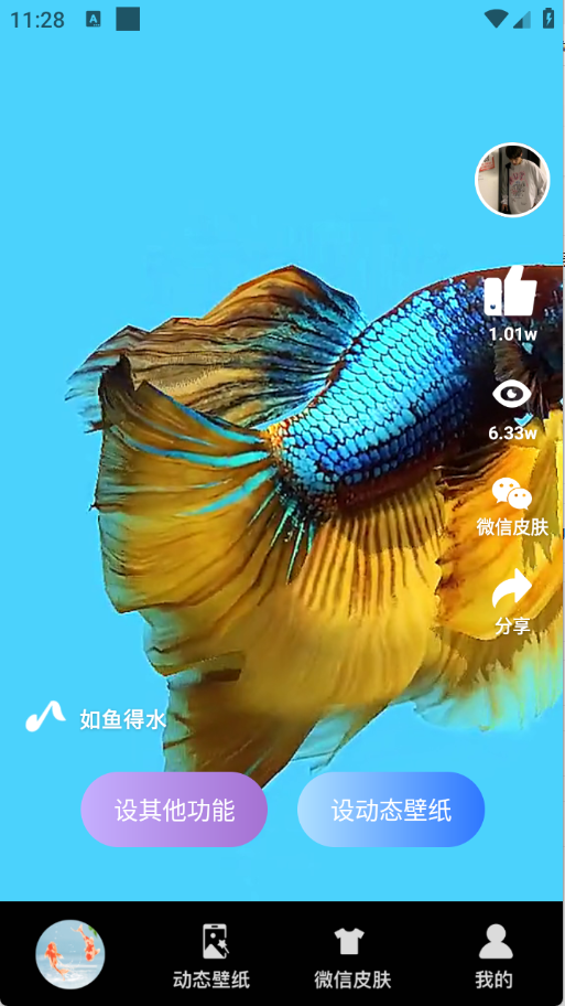 动态养鱼壁纸下载安装手机版