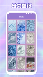 大米星球官网版入口手机版