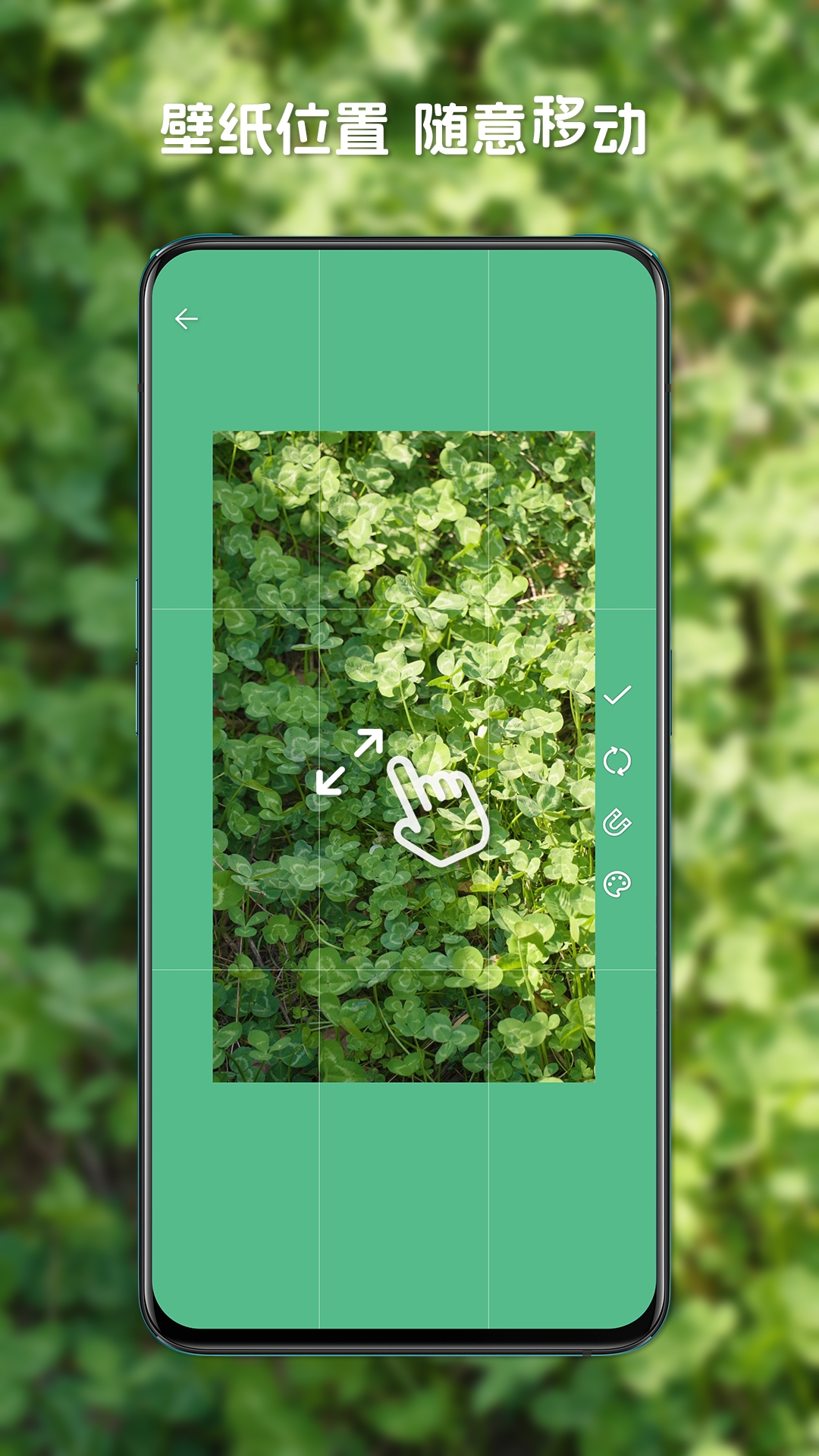 星咩视频壁纸下载