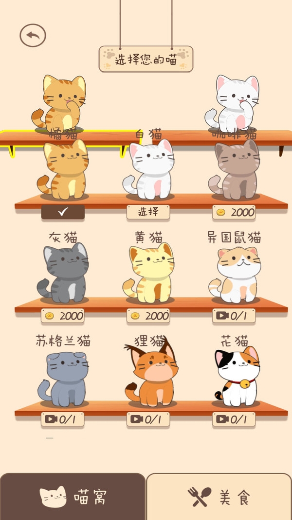 夏天的乐队下载