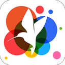 360小鸟壁纸app官网版