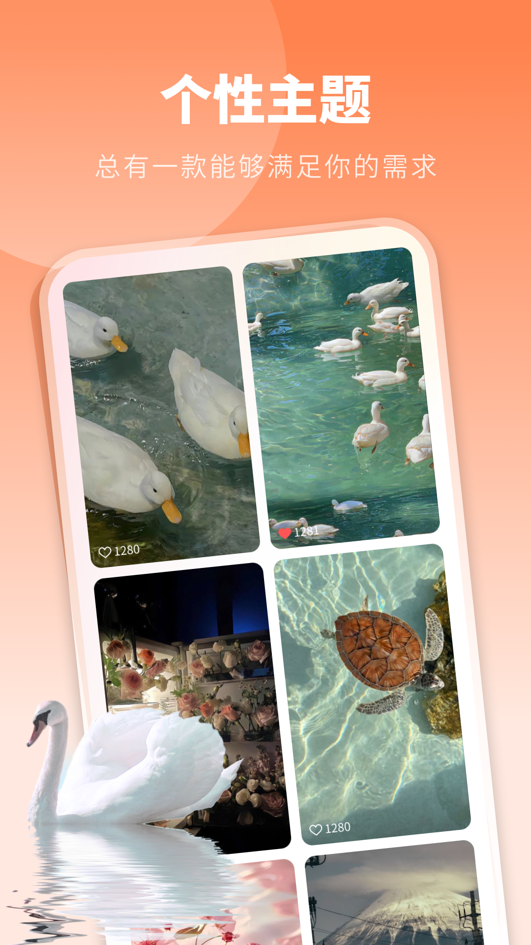 酷琪壁纸app下载安装最新版