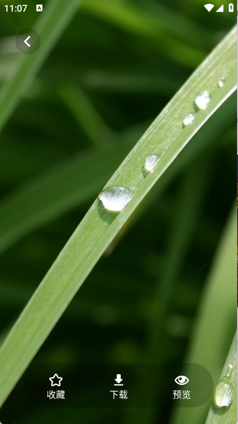 茄子漫画壁纸下载安装免费