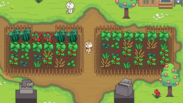 猫咪森林游戏中文版