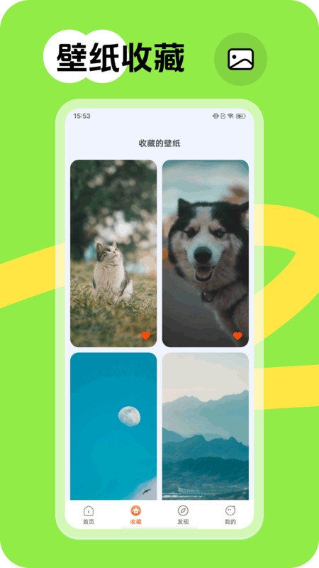 跃动壁纸下载安装手机版