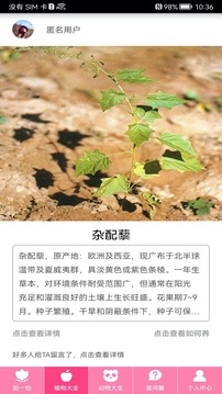拍照识物软件下载