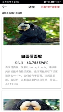 拍照识物软件下载