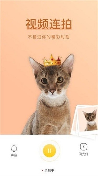 萌仔相机app官方版手机版